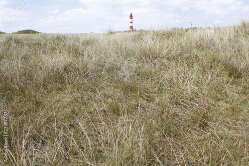 Landscape with a lighthouse