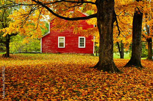 Autumn in Vermont