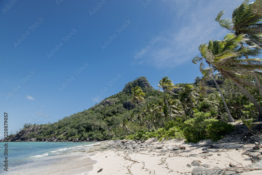 Fototapeta premium Beach on an uninhabited island (Fiji) with Palm Trees