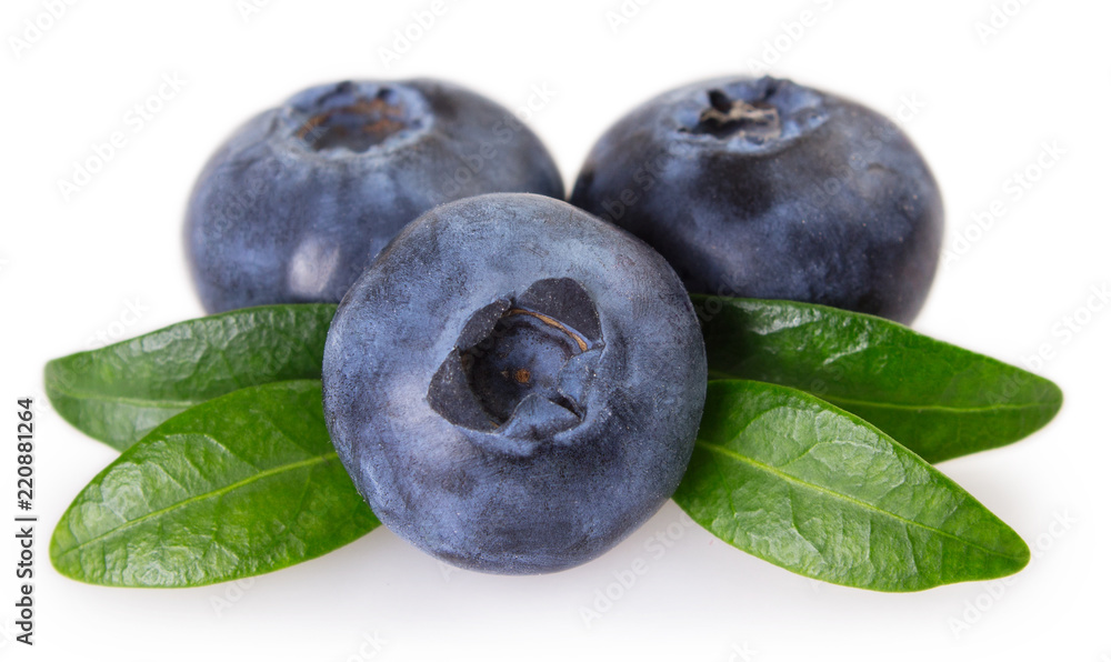 Fresh blueberry on white background Fresh blueberry on white background