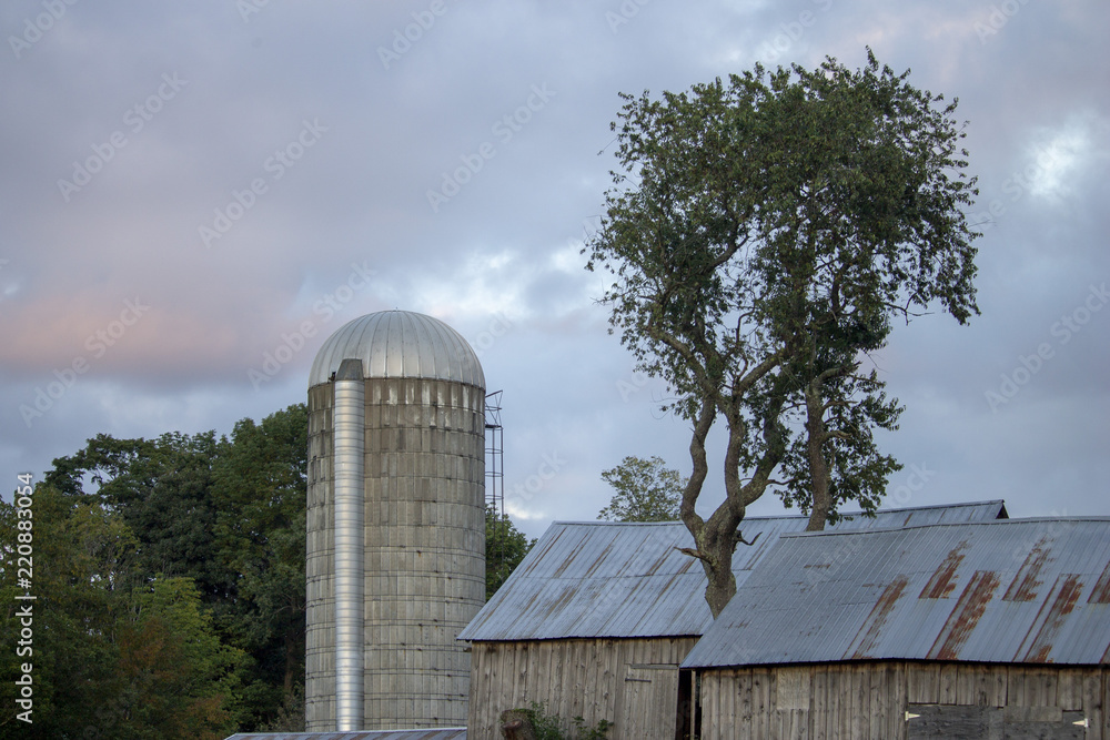 Silo and Barn Roof Against Skyline Silo and Barn Roof Against Skyline