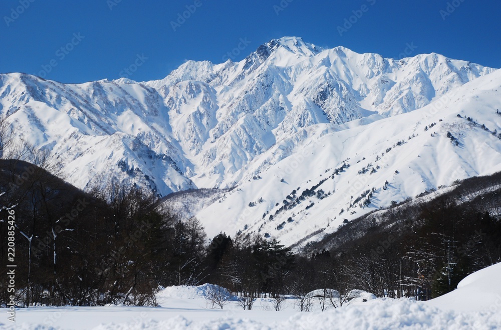 Fototapeta premium Hakuba / Nagano ~ winter season