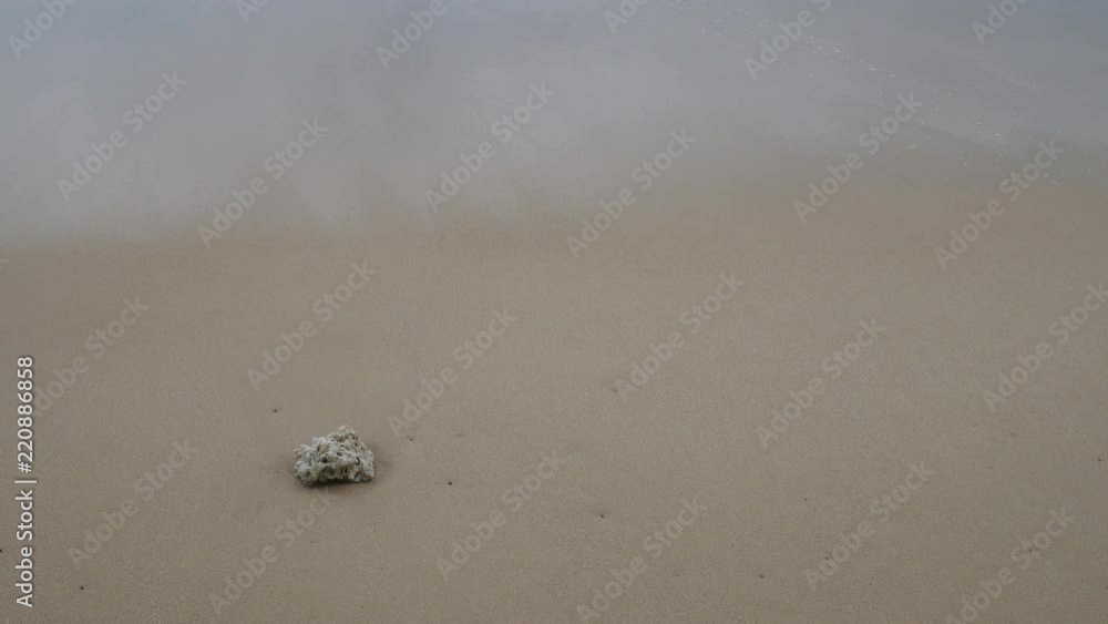 Beautiful sand beach with dead coral and soft wave in sea water , cloudy rainy sky day Beautiful sand beach with dead coral and soft wave in sea water , cloudy rainy sky day