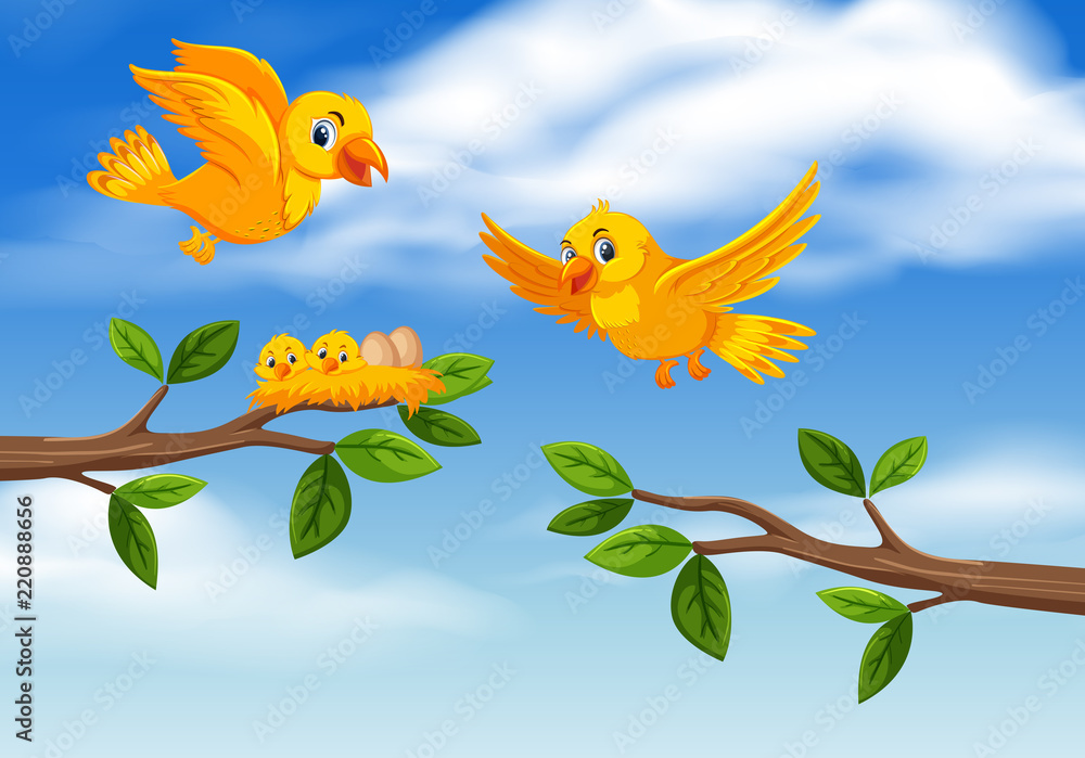 Bird family at tree branch Bird family at tree branch
