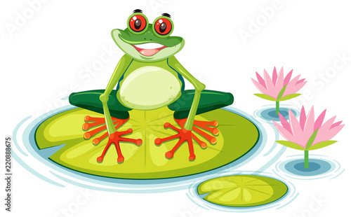 A red eyed tree frog on lily pad