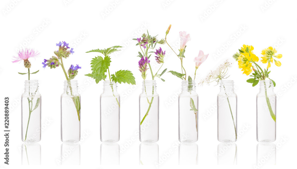 Bottles of essential oil with fresh herbs.