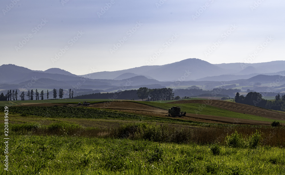 Beautiful field landscape with harvester machine and mountain