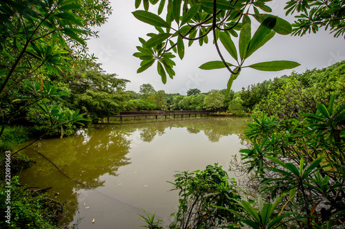 Sri Nakhon Khuean Khan Park and Botanical Garden (Bang Kachao), is a garden with green nature. People are biking. Bird watching or studying the ecological nature of Amphoe Phra Pradaeng, Samut Prakan. photo