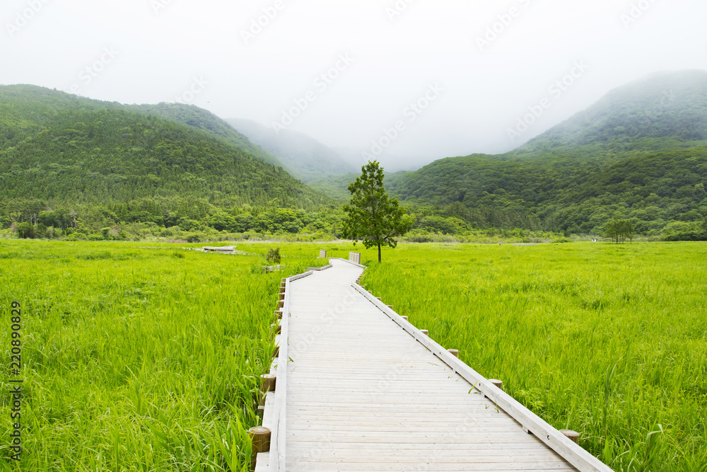タデ原湿原 タデ原湿原