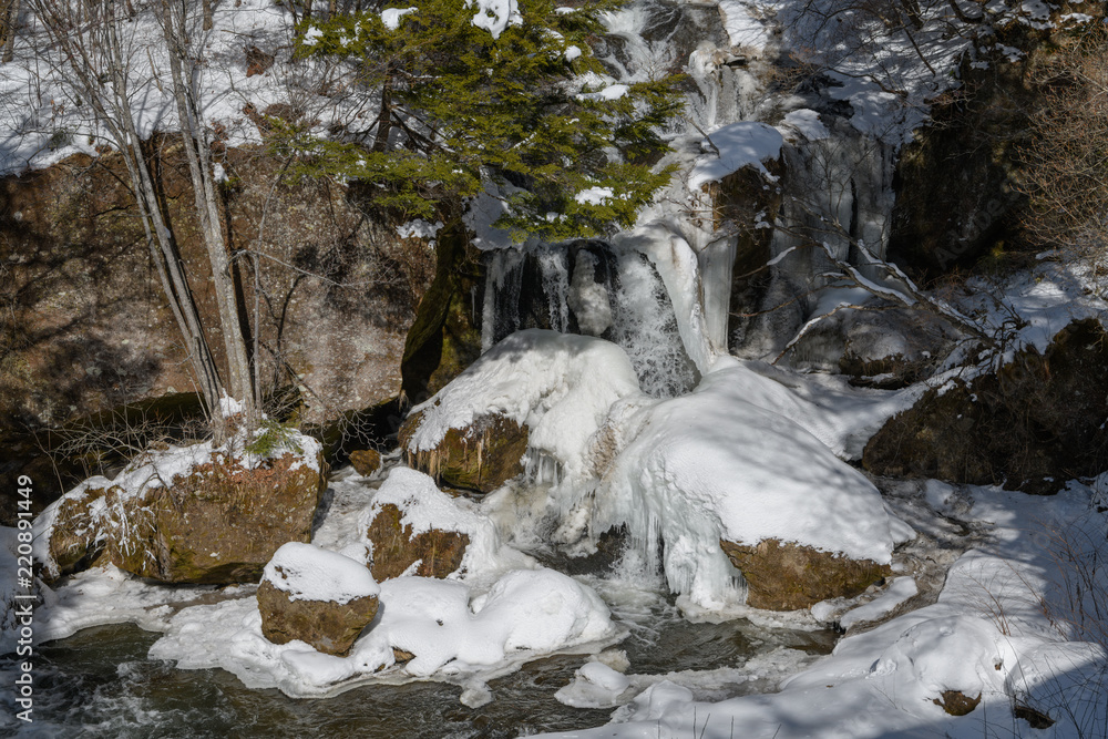 Obraz premium 冬の竜頭の滝