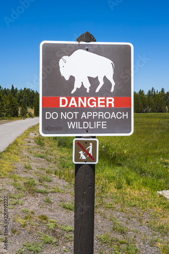 danger do not appoach wildlife,bison sign pole near by walkway. photo