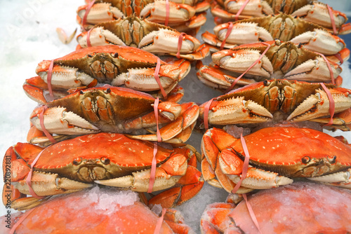 Frozen cooked crab on the ice for sale