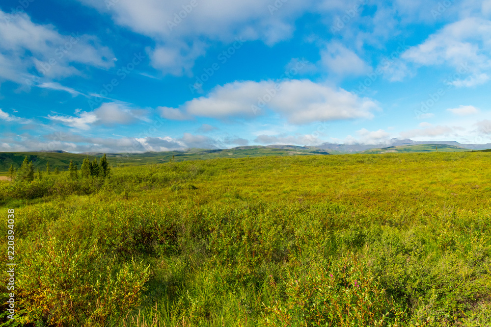 The Dempster Highway North Of The Arctic Circle, Canada