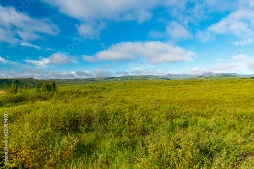 The Dempster Highway North Of The Arctic Circle  Canada