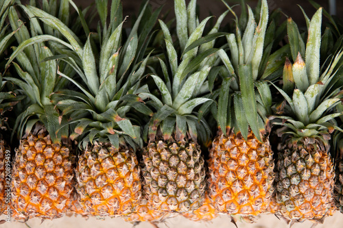 Pineapples 