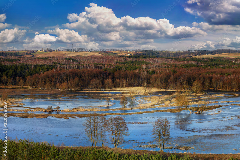 wiosna nad rzeką Drwęcą