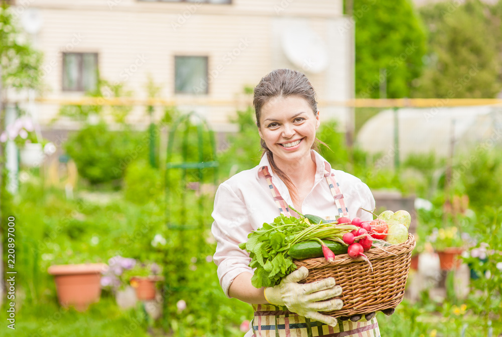 Woman with fresh vegetables in the basket in her hands. Space for text Woman with fresh vegetables in the basket in her hands. Space for text