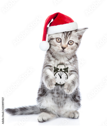 Cat in red christmas hat  with alarm clock. isolated on white background © Ermolaev Alexandr