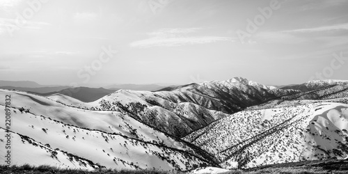 Mount Hotham, Mount Feather Top photo