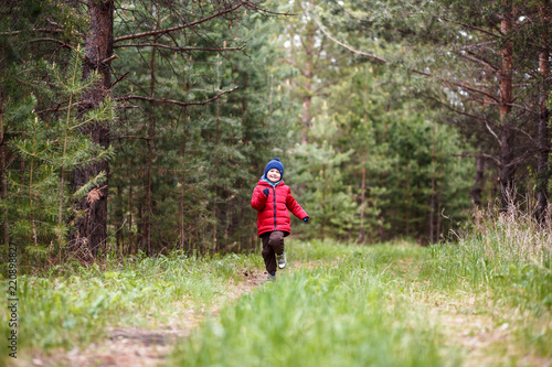 cheerful child in autumn clothes running through the woods