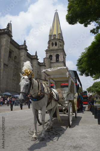 Historical center and cathedral in Guadalajara Jalisco. MEXICO