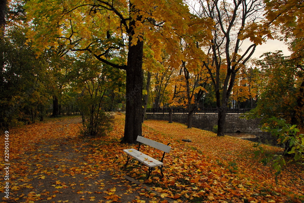 Estonia. Golden Autumn in the countryside. Estonia. Golden Autumn in the countryside.