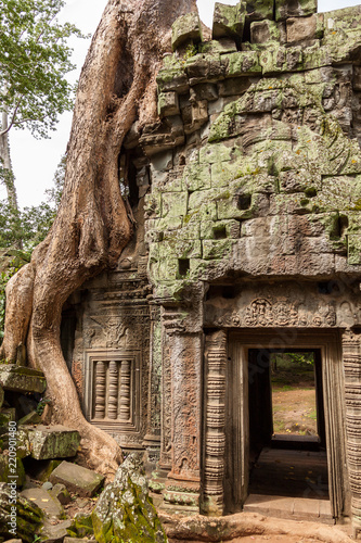 Tree roots over temple (5)