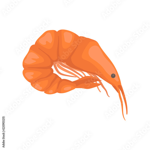 Flat vector icon of raw or boiled shrimp with bright red shell. Big fresh prawn with long claws. Marine fauna. Seafood theme