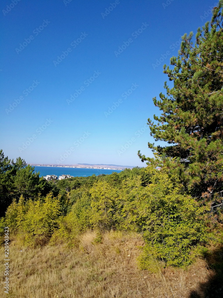 beauty in Nature blue Clear sky Copy Space day Grass Green color beauty in Nature blue Clear sky Copy Space day Grass Green color