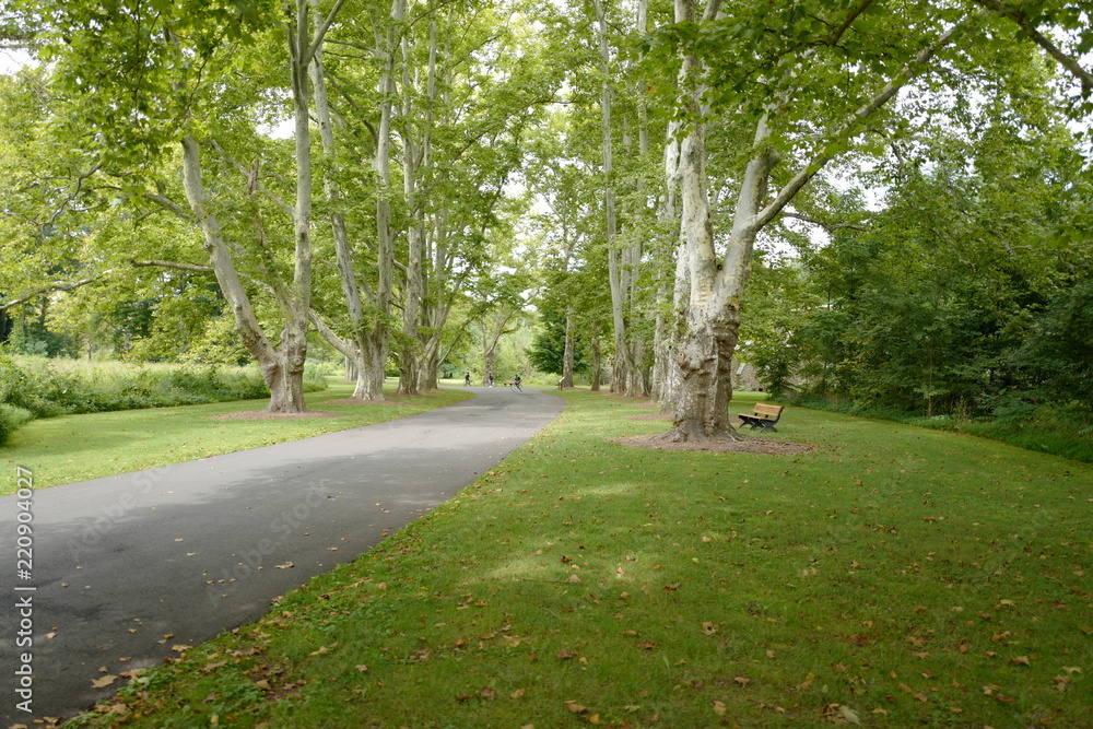 Parks Parks