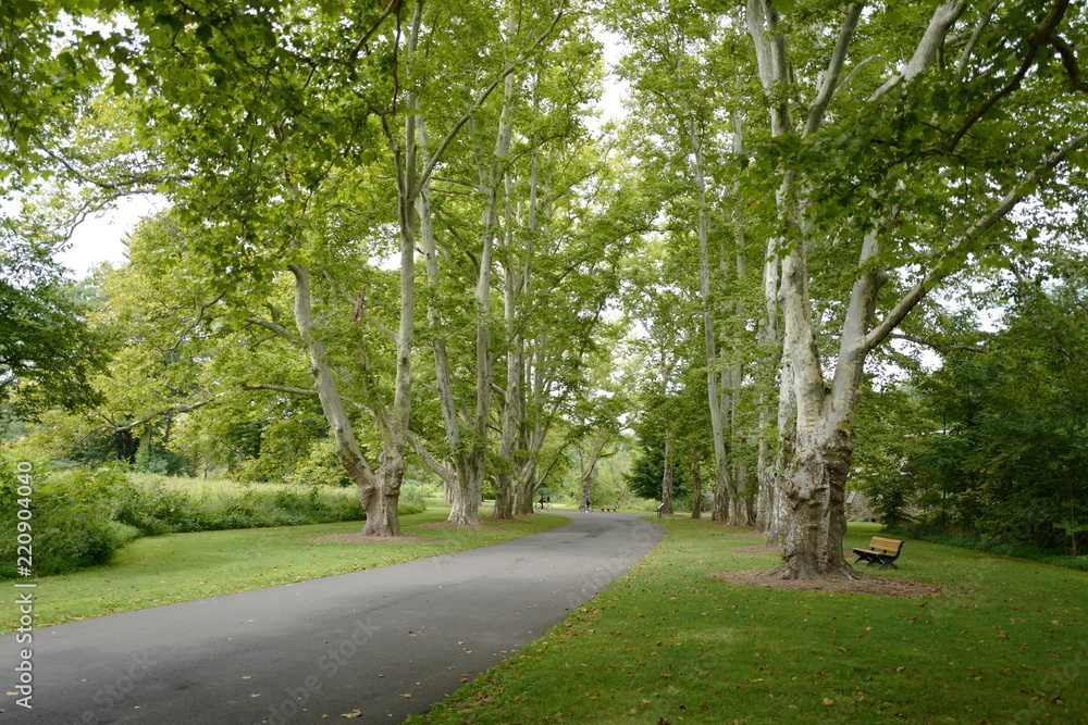 Parks Parks