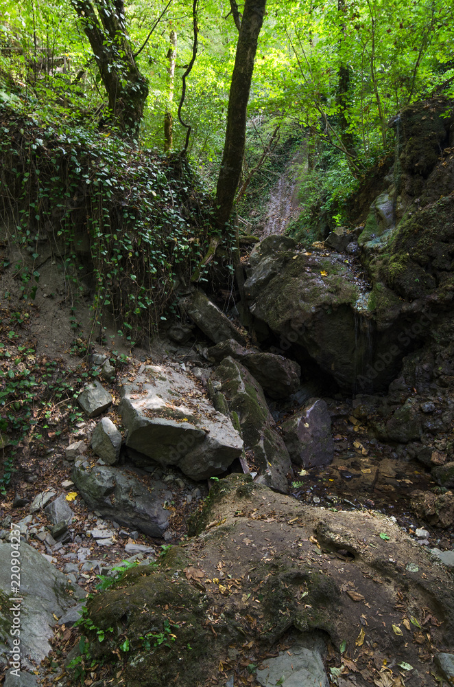 Mamed gorge on the Black Sea coast of Russia Mamed gorge on the Black Sea coast of Russia