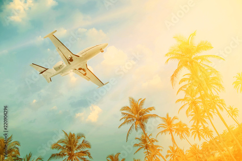 Passenger airplane flying over palm trees
