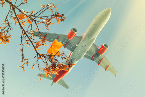 Passenger airplane flying over autumn maple