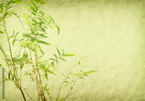 bamboo on old grunge paper texture background