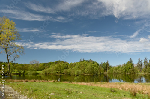 Moss Eccles Tarn on Claife Heights, Lake District photo