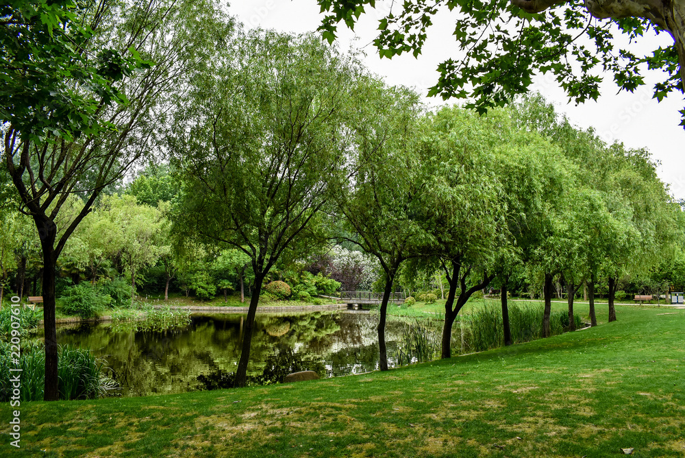 Obraz premium Chinese Garden