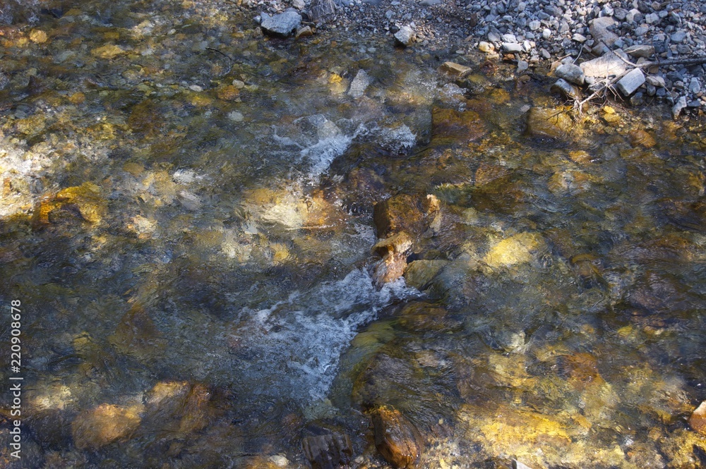 little brook along trail