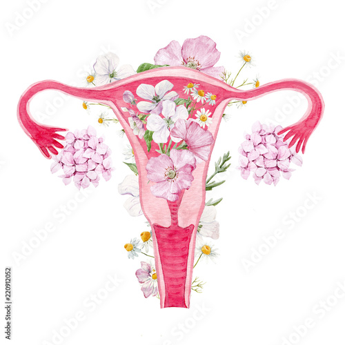 Fényképezés Woman uterus with flowers illustration