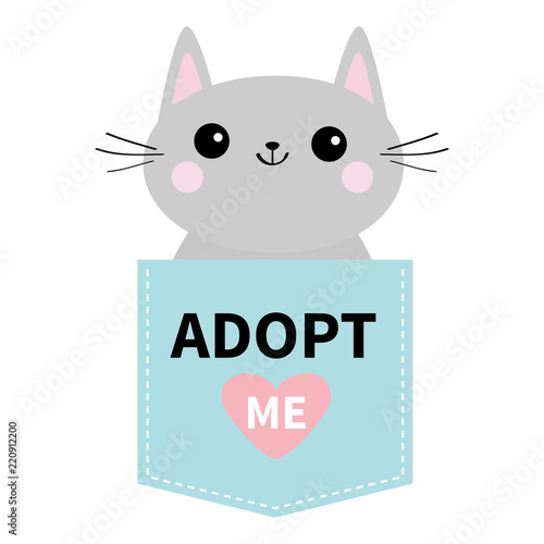 Adopt me. Dont buy. Cat in blue pocket. Pet adoption. Kitten kitty. Pink heart. Flat design. Help homeless animal concept. White background. Isolated.