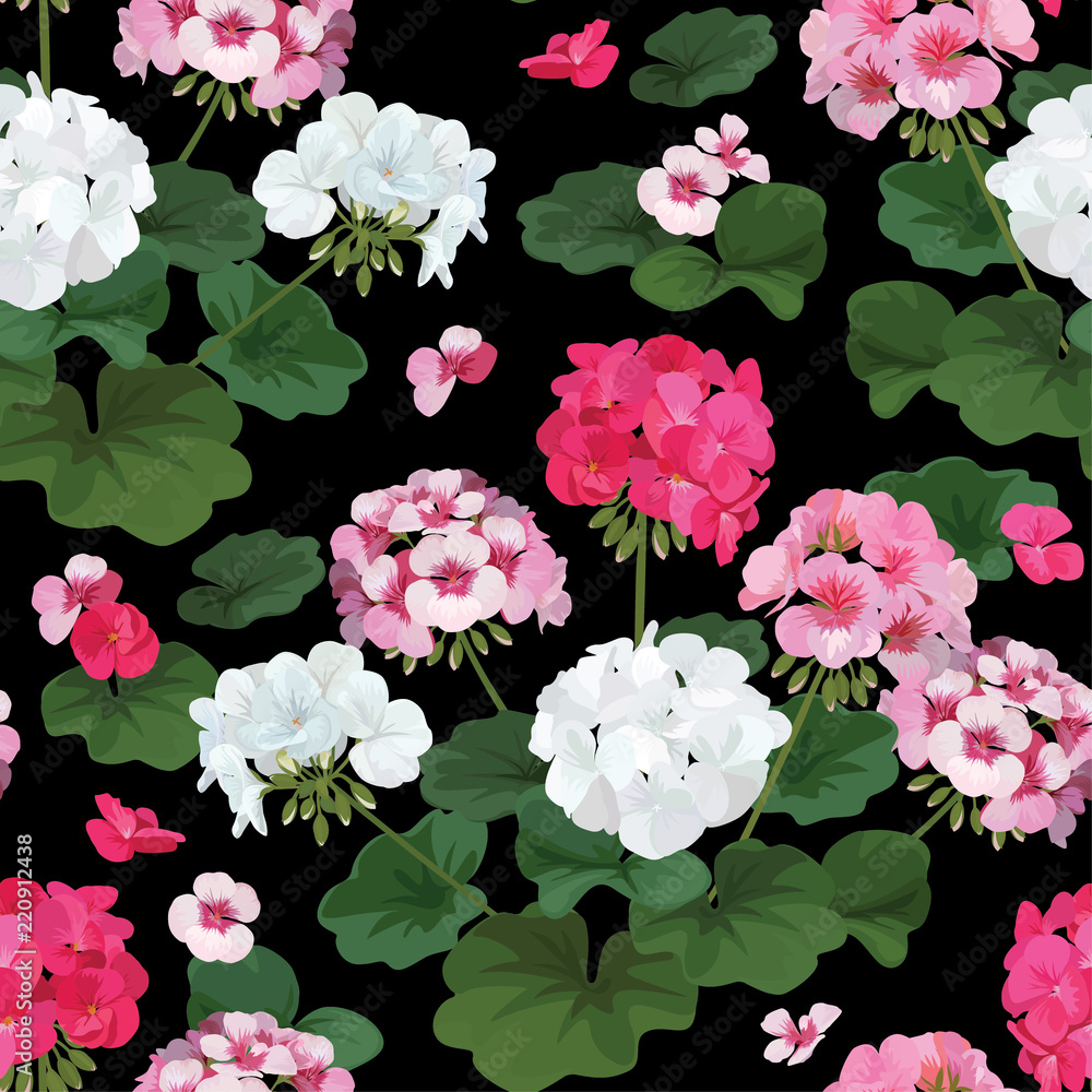 Seamless pattern of colorful of geranium flowers with leaf bouquet background template. Vector set of blooming floral for holiday invitations, greeting card and fashion design. Seamless pattern of colorful of geranium flowers with leaf bouquet background template. Vector set of blooming floral for holiday invitations, greeting card and fashion design.