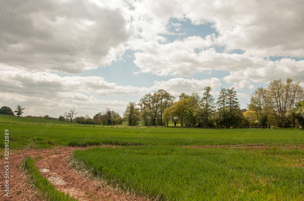 Springtime landscape in the British countryside. Springtime landscape in the British countryside.