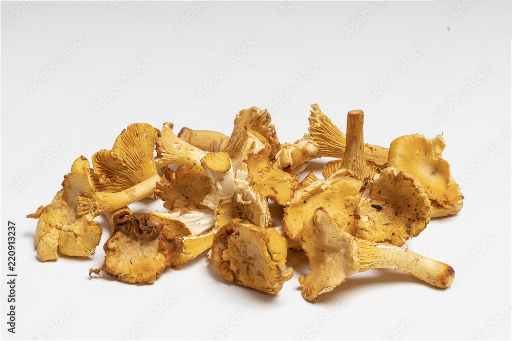 Chanterelle mushrooms (Cantharellus cibarius) on a white surface Chanterelle mushrooms (Cantharellus cibarius) on a white surface