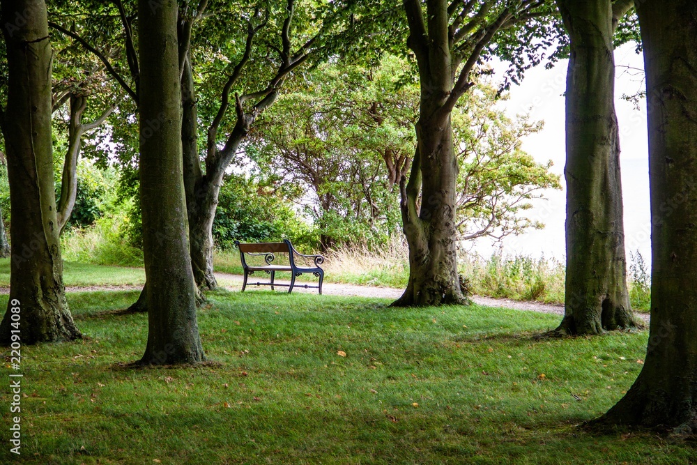 Spaziergang an der Ostsee-Küste Spaziergang an der Ostsee-Küste