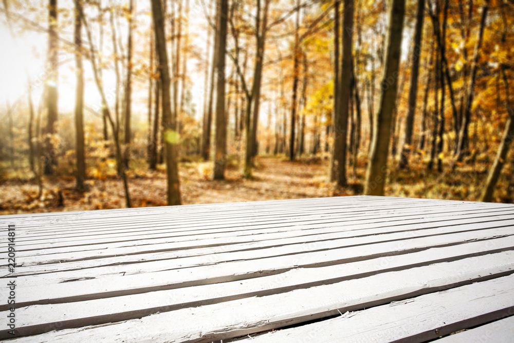 desk of free space and autumn forest desk of free space and autumn forest