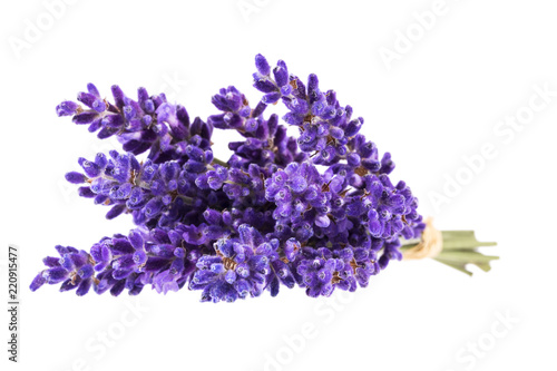 Fototapeta Naklejka Na Ścianę i Meble -  Bouguet of violet lavendula flowers isolated on white background, close up