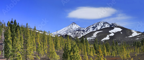 Teide im Winter mit Kiefern, Insel Teneriffa, Kanaren, Spanien, Europa, Panorama