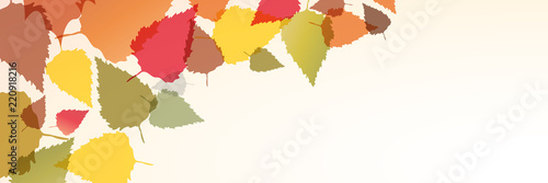 Autumn banner, the leaves fall from the tree. Foliage, vector background