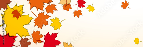 Autumn banner, the leaves fall from the tree. Foliage, vector background