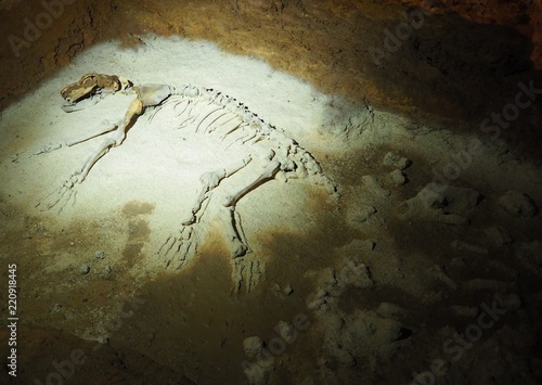 Prehistoric bear skeleton in a stone cave